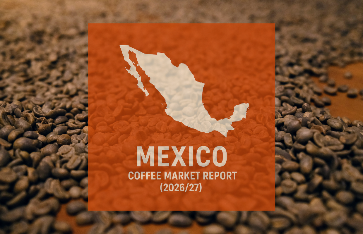 Mexico Espresso Report: Manufacturing Rises Barely with Extra Robusta Mexico Espresso Report: Manufacturing Rises Barely with Extra Robusta