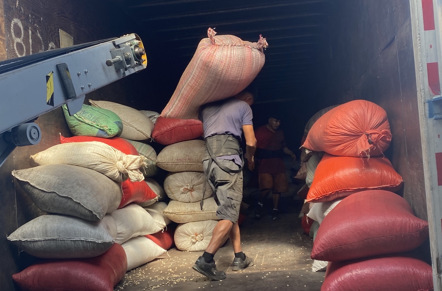 EUDR is Accelerating Farm Modernization, But Threats to Smallholders Remain