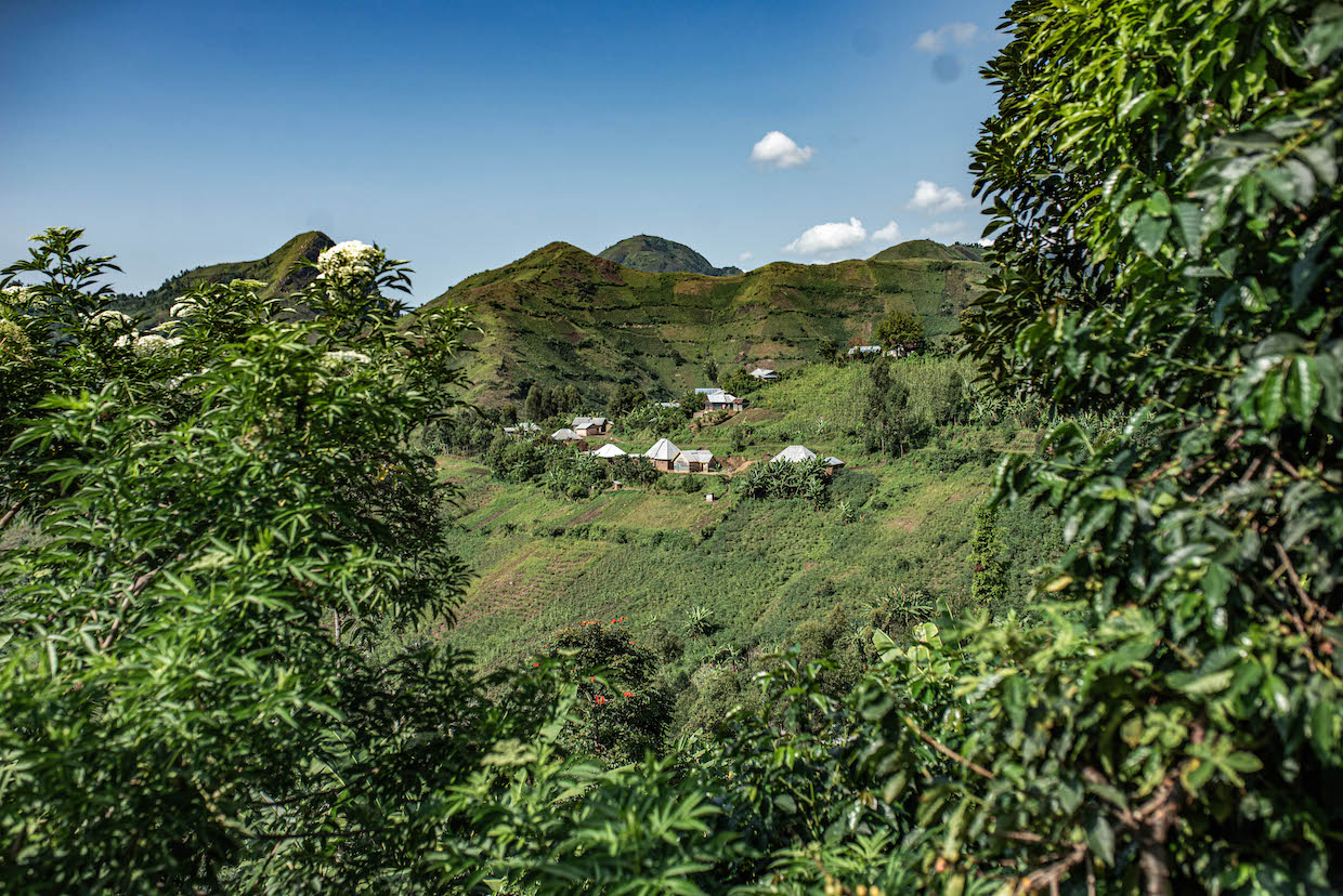 Best of Congo Cooperatives 3