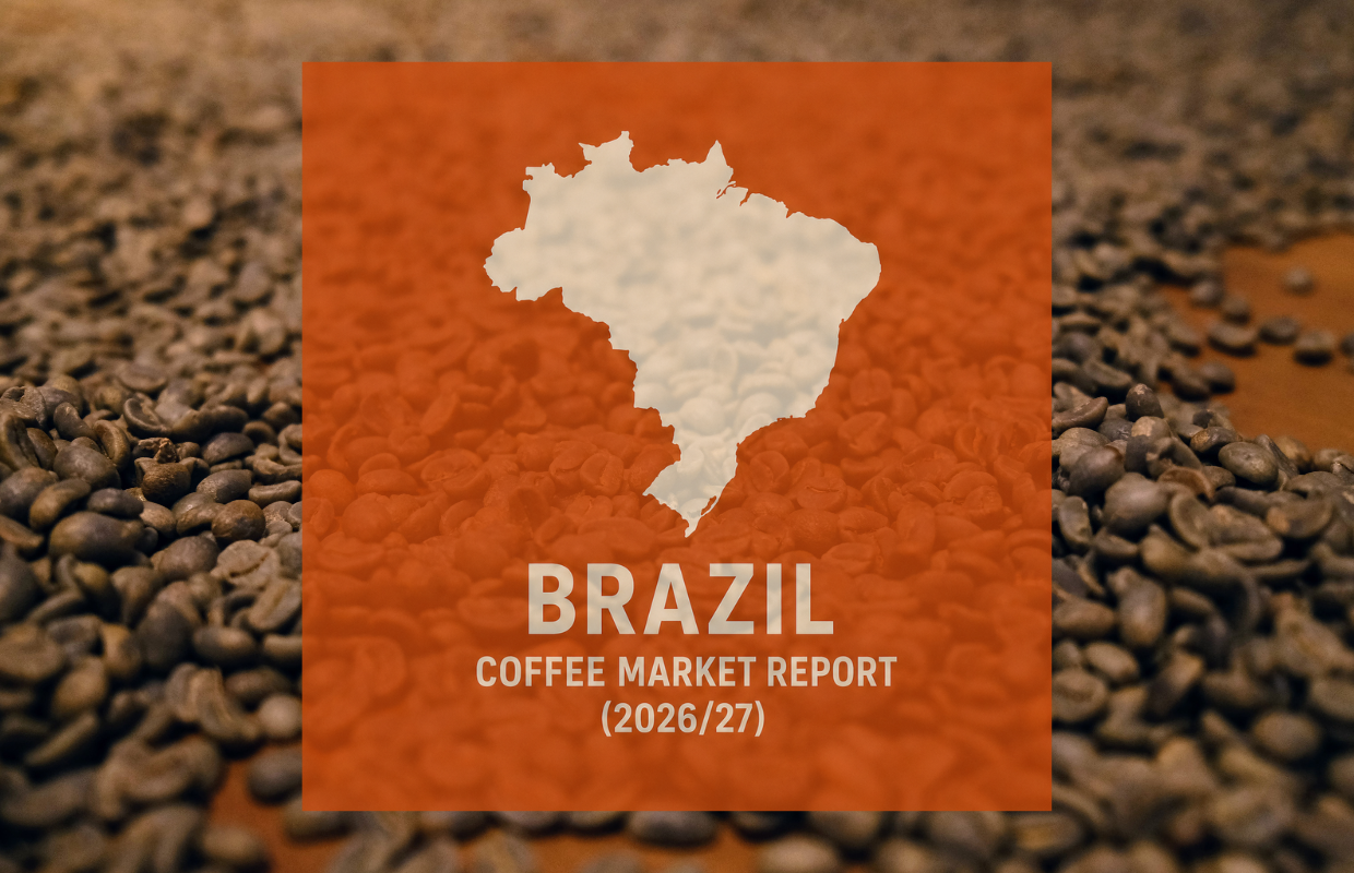 Brazil Coffee Report: Record Crop and Exports Expected for 2026/27