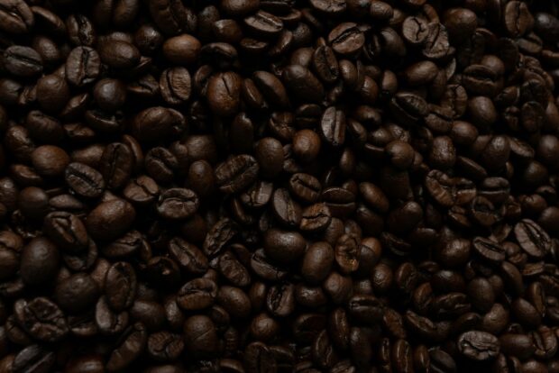 roasted coffee