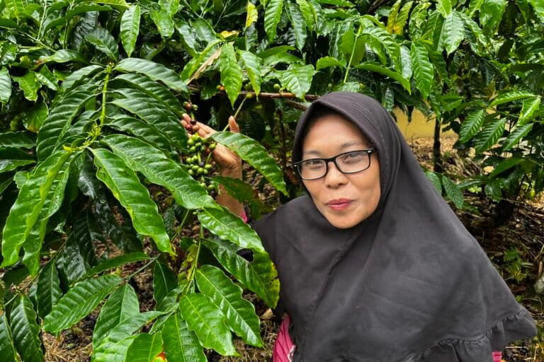 Indonesia coffee story 4