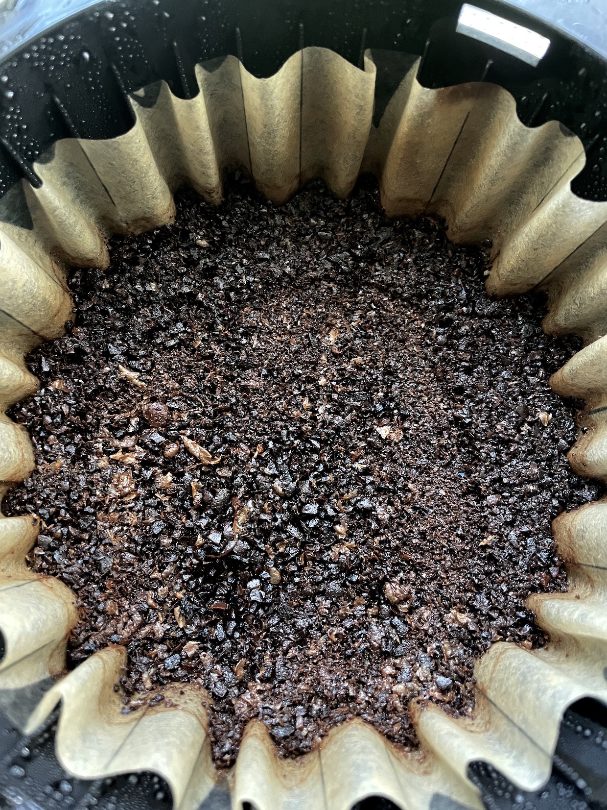 coffee grounds
