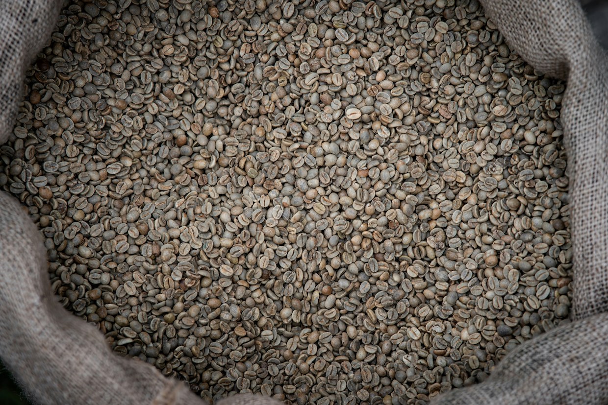 coffee sack 2