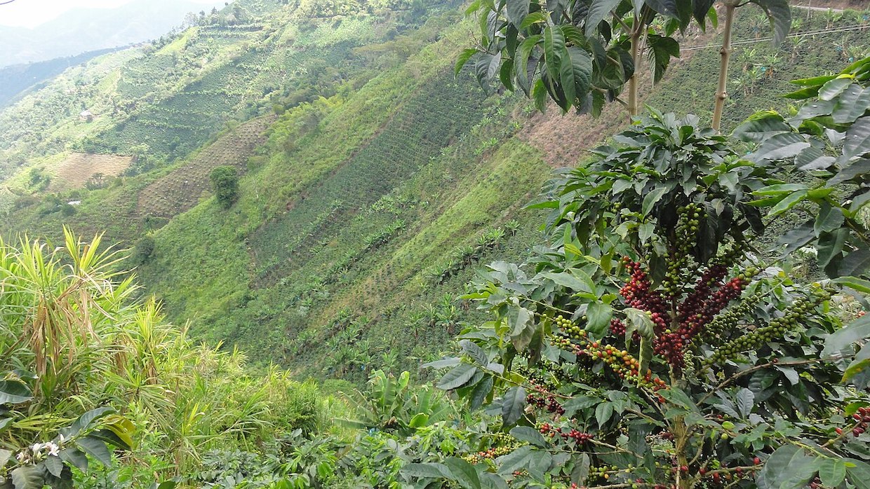 El_Águila_(5),_Valle,_Colombia