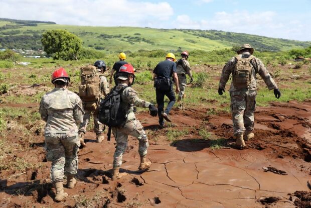 Hawaii Coffee Farms Face Long Recovery After Hurricane Lala
