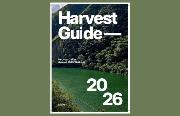 Peru coffee harvest guide