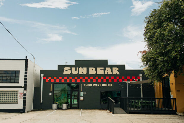 Sun Bear Coffee Basks in its First Standalone St. Petersburg Cafe