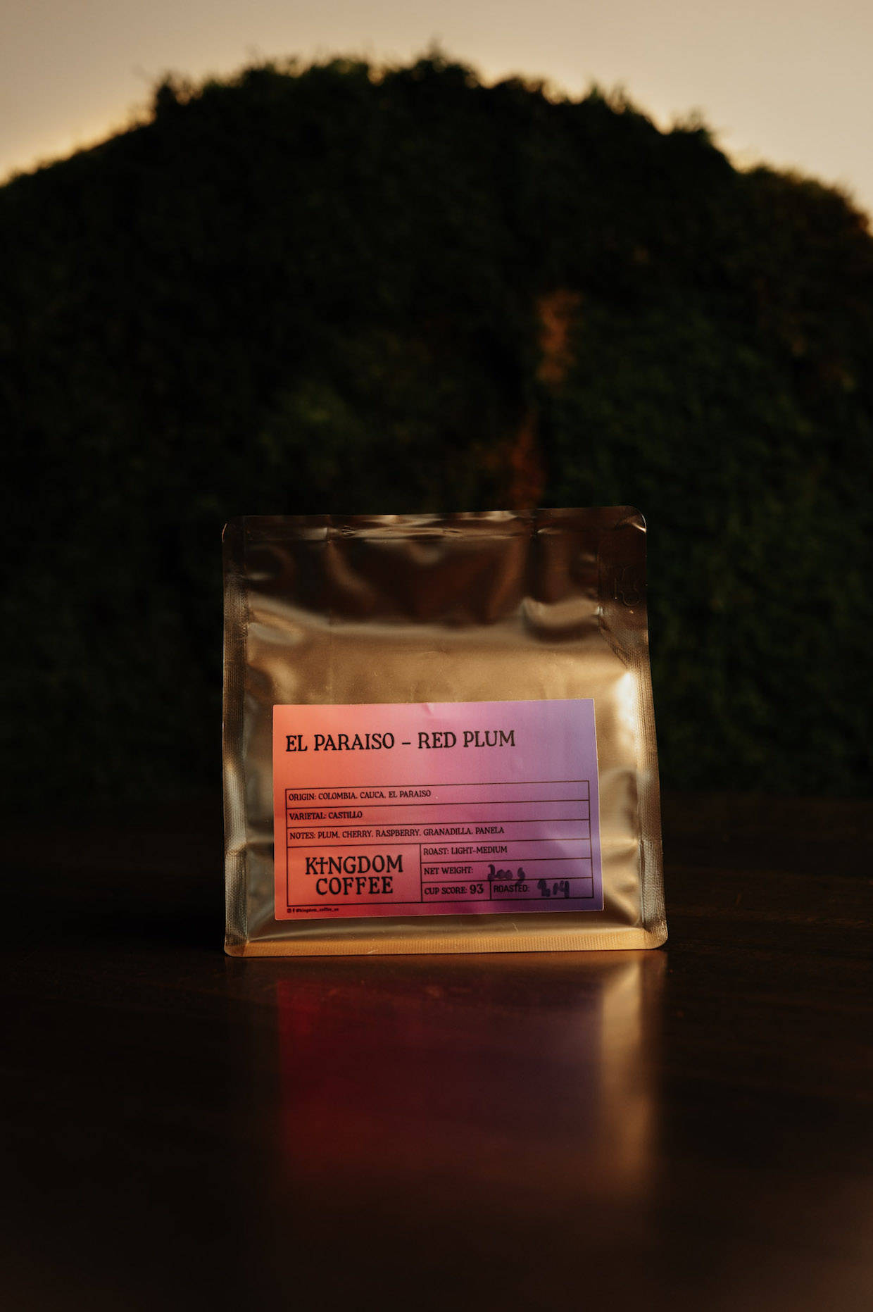 Tempest Stirs Up Craft Coffee and Cocktails in Suburban Indianapolis
