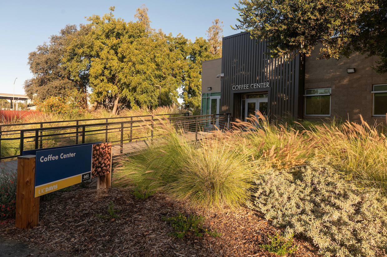 The new building for the coffee class at the Coffee Center on November 1, 2024.