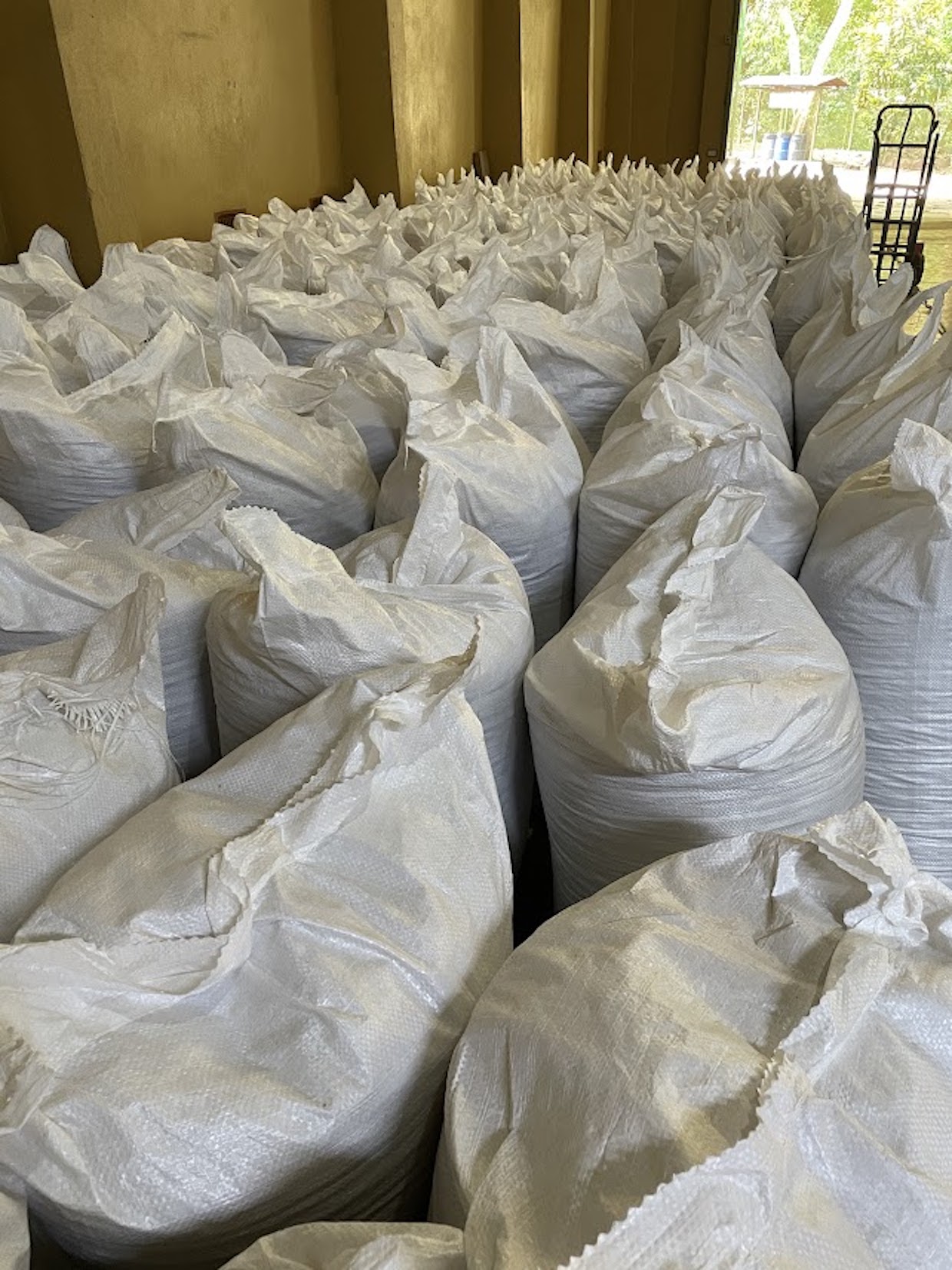coffee exports sacks