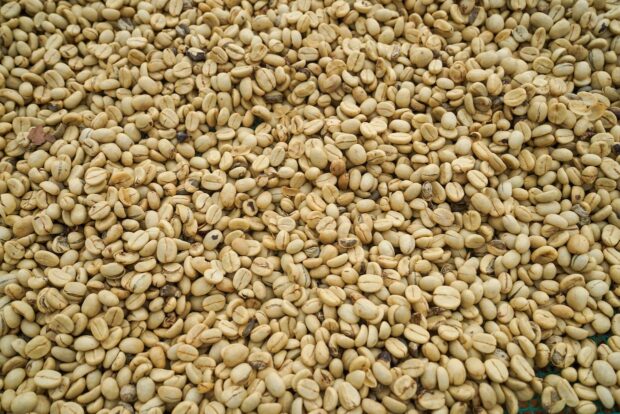 Major Coffee Groups Combine Efforts Toward Responsible Procurement