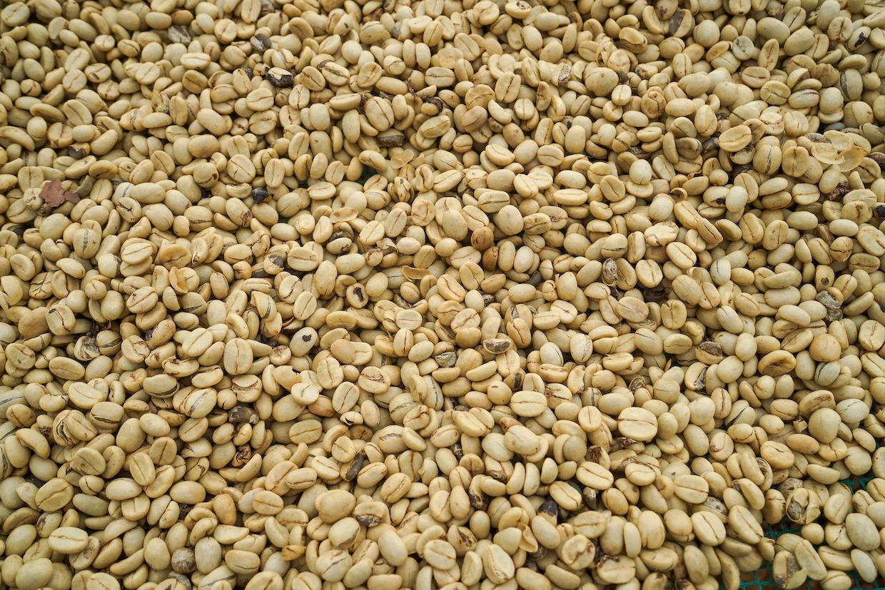 coffee parchment