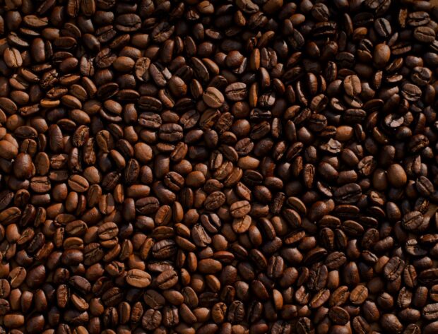 Syracuse Haraz Coffee House Closes as Franchise Dispute Heads to Court